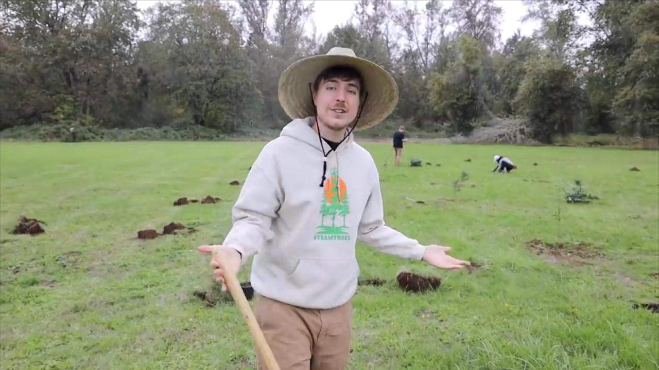 Mrbeast Youtubers Band Together To Plant 20 Million Trees To