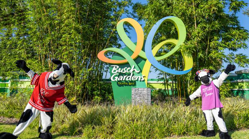 Chick-fil-A to serve up food at Busch Gardens Tampa Bay