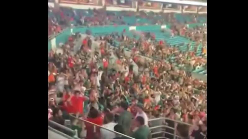 Fans at Florida football game save falling cat by using American flag as net