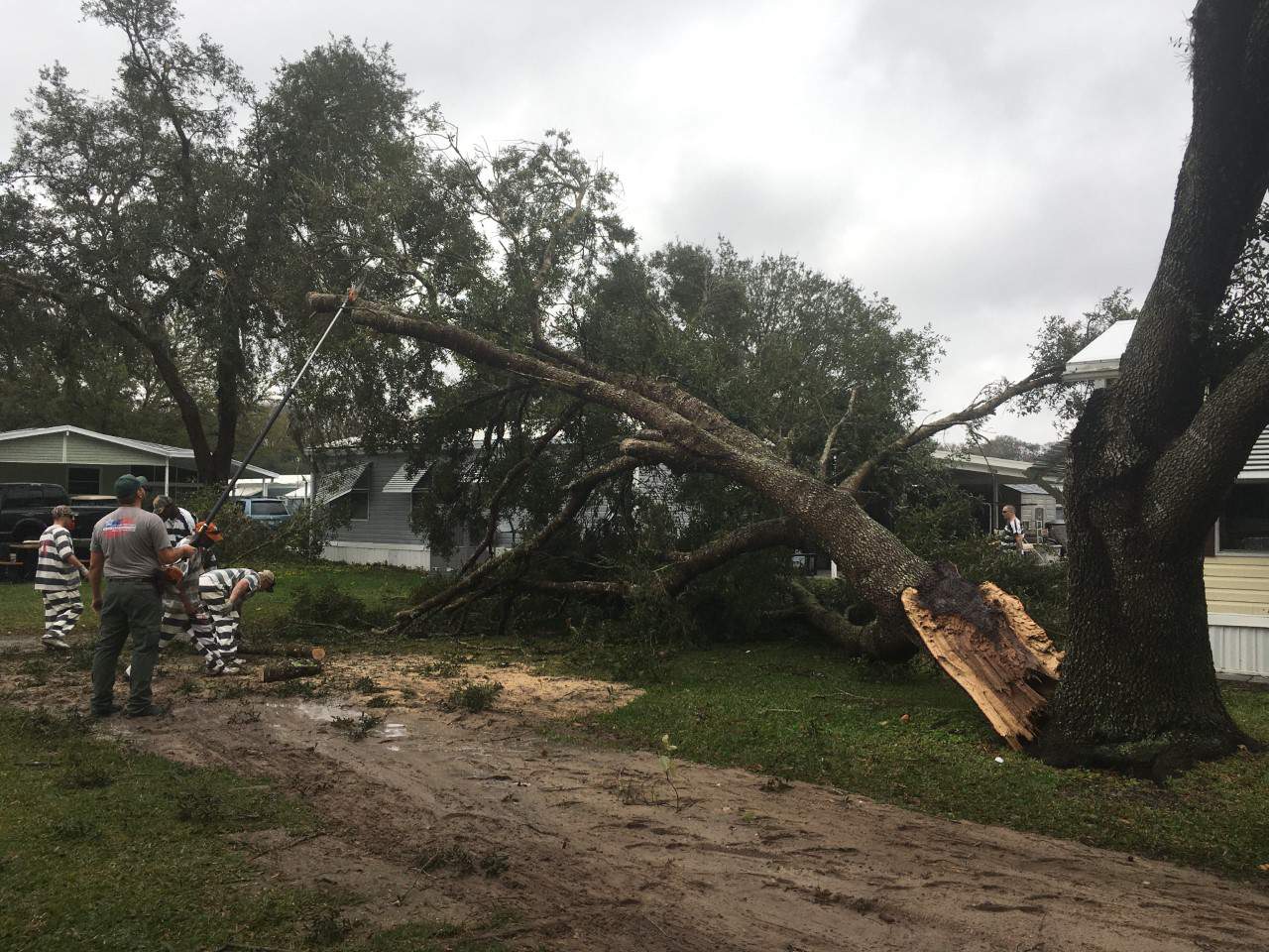 Severe storms leave trail of damage in Central Florida