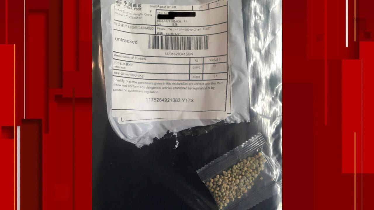 UPDATE: 1,200 Floridians receive suspicious seeds through mail
