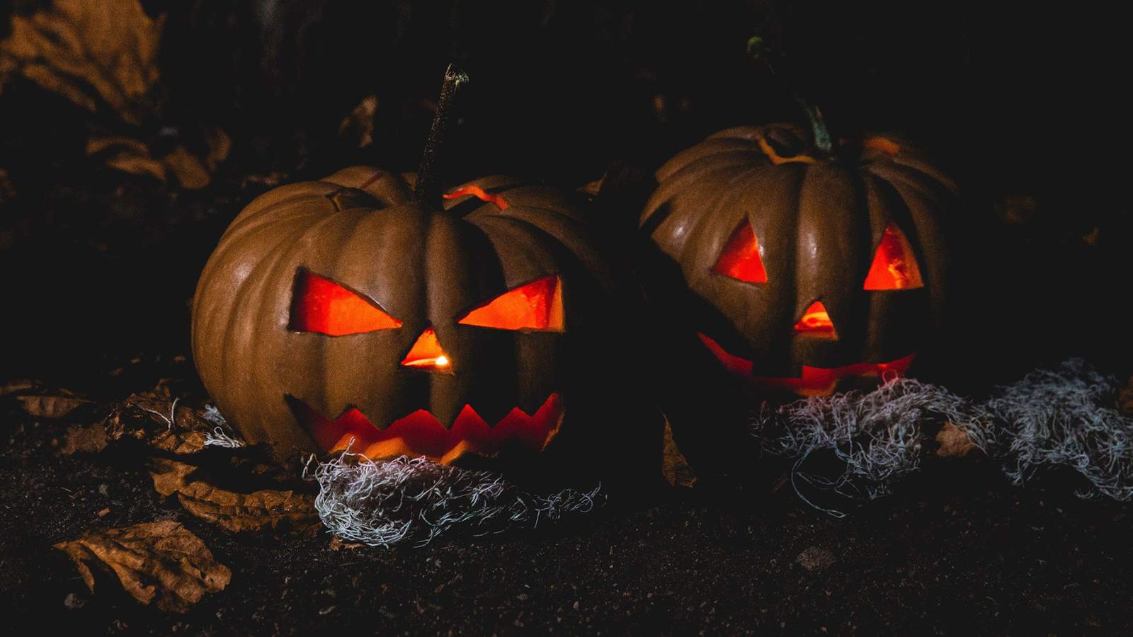 Get spooky at these socially distant Central Florida Halloween events