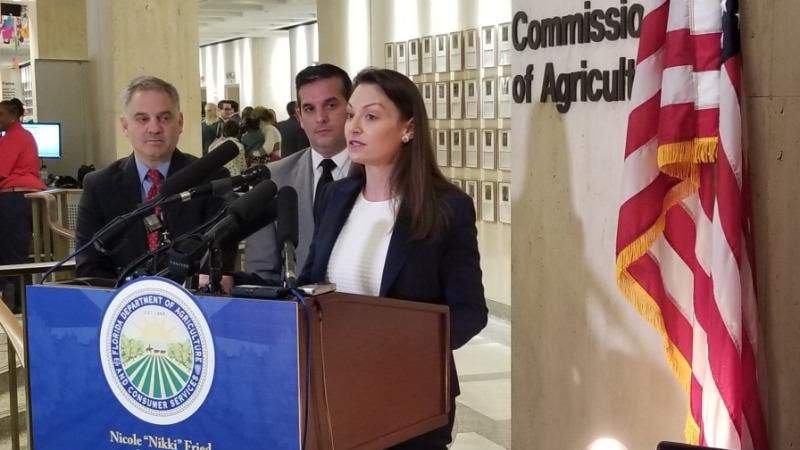 WATCH LIVE: Florida Agricultural Commissioner Nikki Fried to host COVID-19 briefing as cases surge