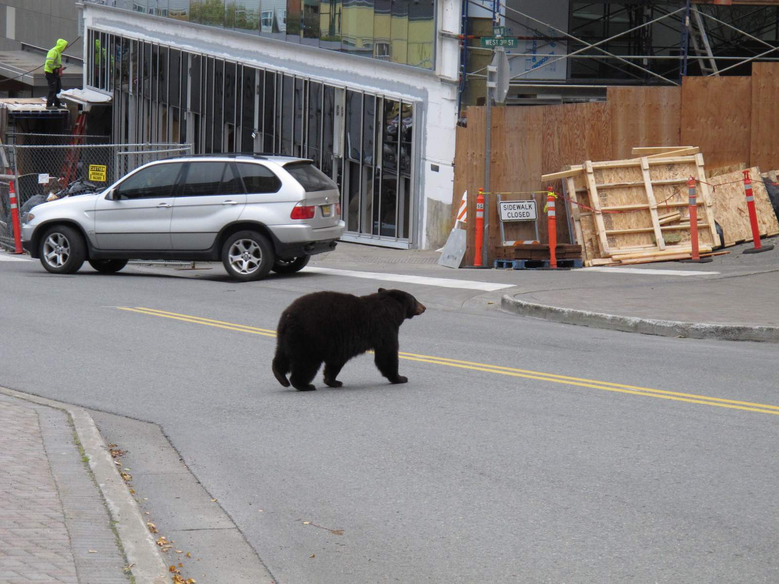 More young bears, less food send them to Juneau’s garbage