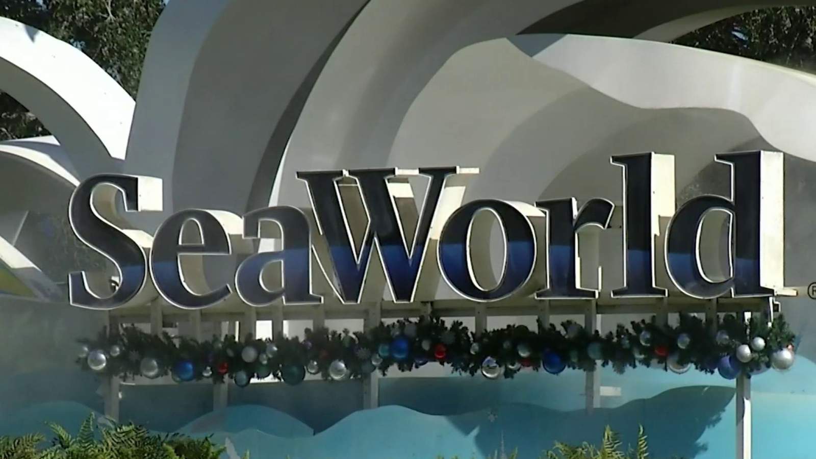 SeaWorld settles class action lawsuit over ‘Blackfish’ for $65 million