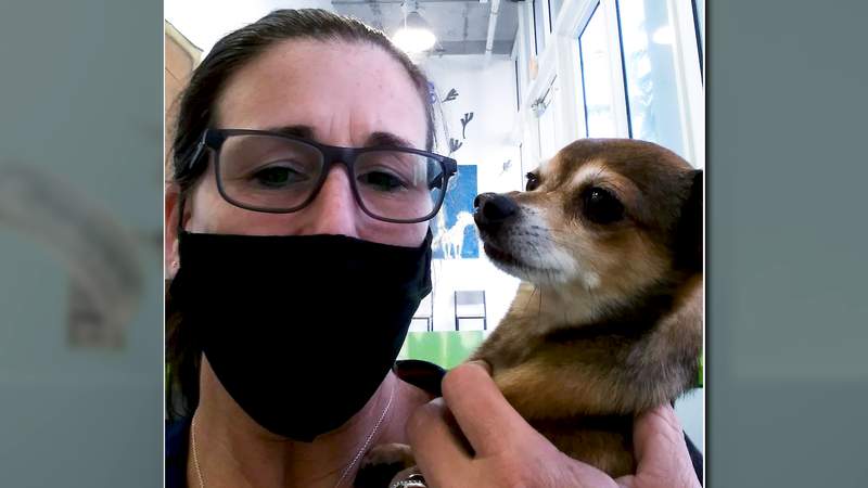 Temporary job at pet clinic blocks Miami woman’s unemployment benefits