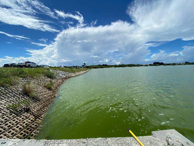 Algae blooms turn Indian River Lagoon green and stinky, again