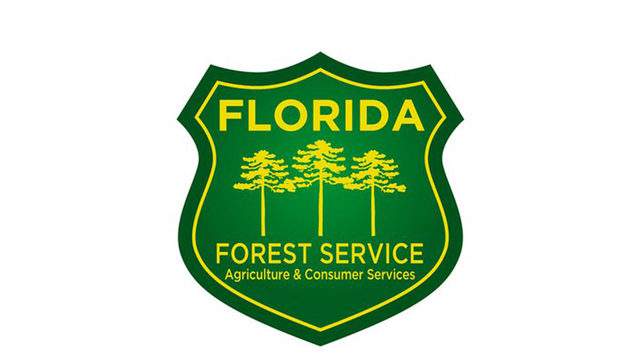 Florida Forest Service handling brush fire in Melbourne