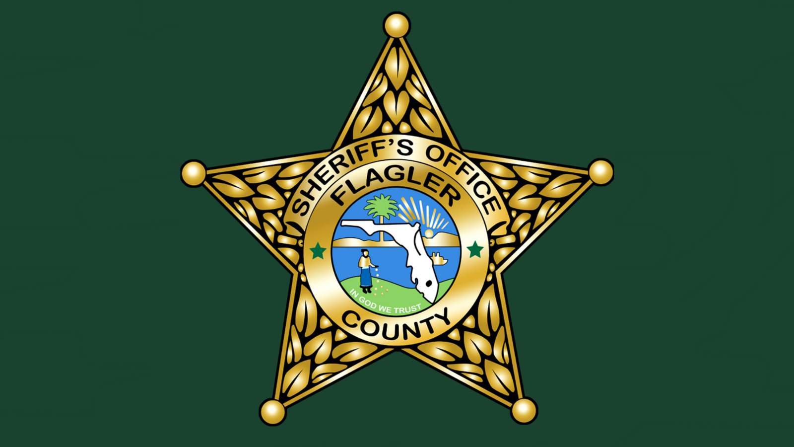 Here’s a glimpse of the Flagler County Sheriff’s Office use of force policy