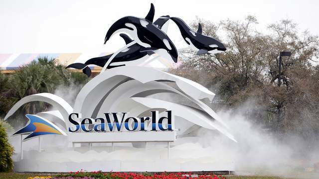 SeaWorld promotes interim CEO to lead company as earnings show parks performing better