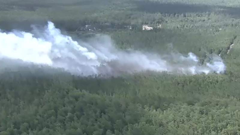 Wildfire in Tiger Bay State Forest latest blaze during peak brush fire season, firefighters say