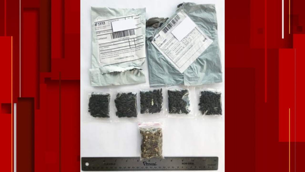 DO NOT OPEN: Florida officials warn of suspicious seed packages being sent through mail