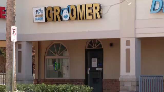 Local dog grooming school told to stop operating after ...