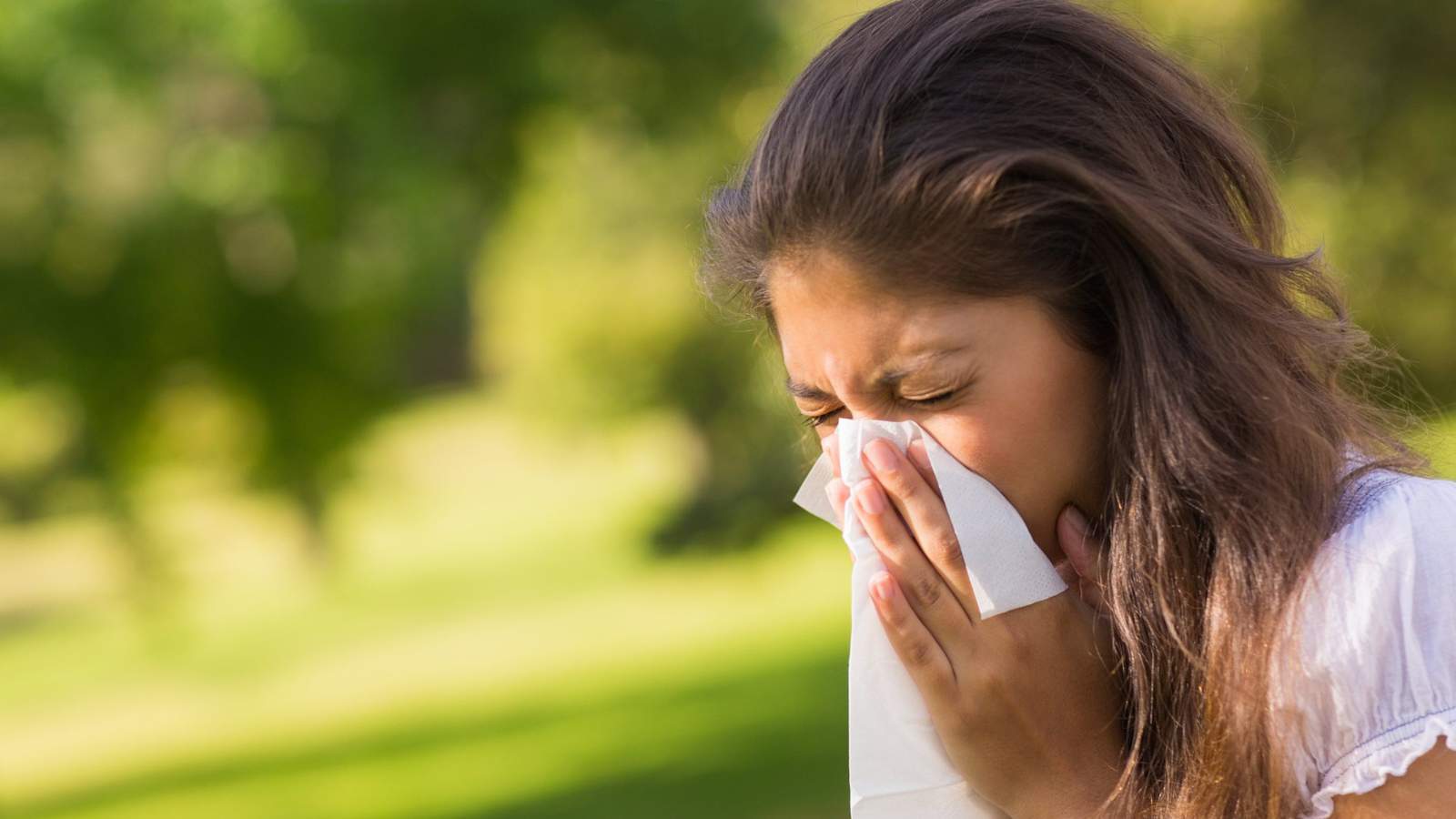 Achoo! Highest allergy levels of the year arrive next week