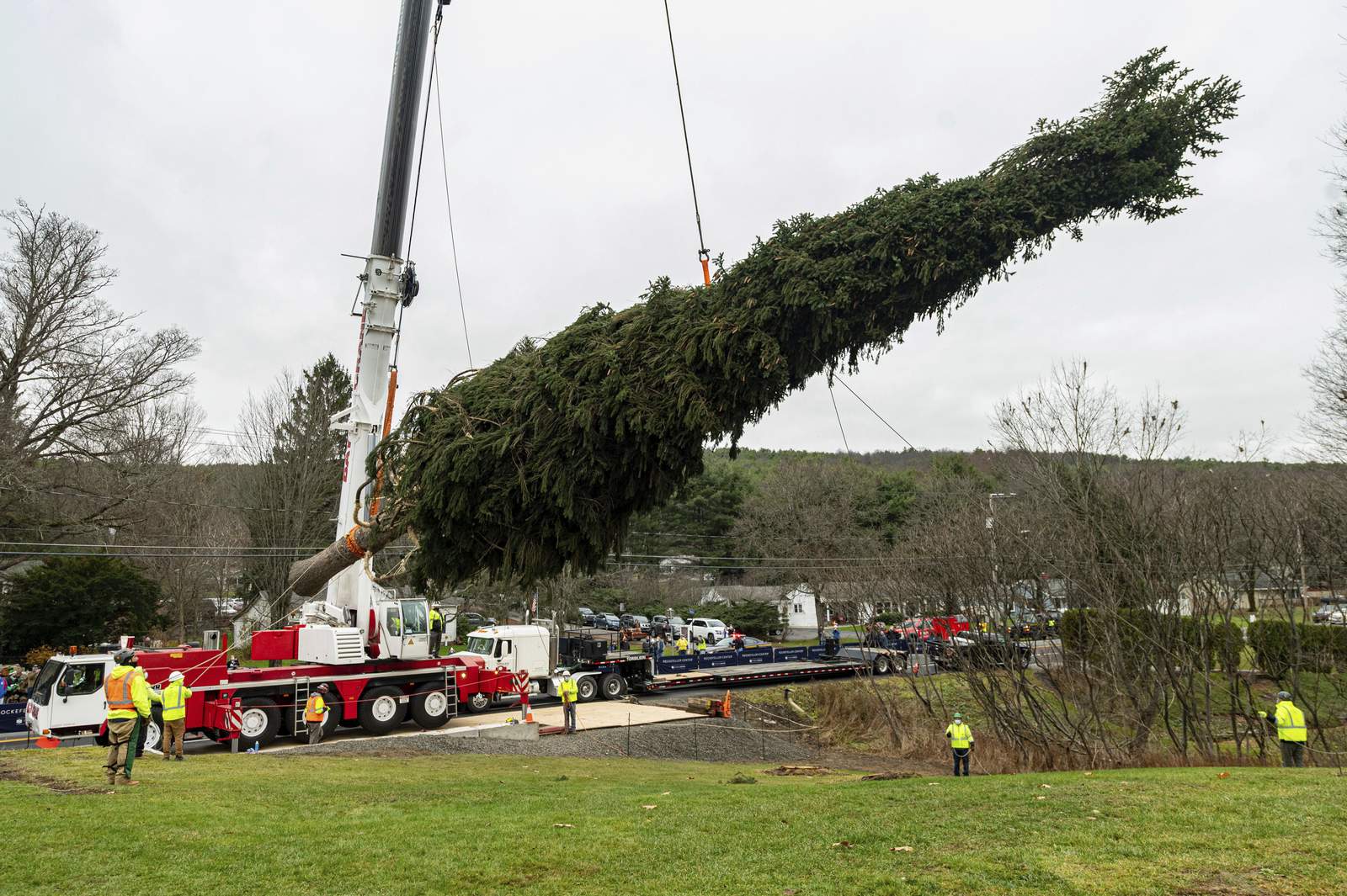 75-foot spruce to be NYC's Rockefeller Center Christmas tree