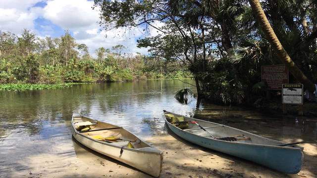 Missing Wekiva Springs diver got out safely, Orange County authorities say