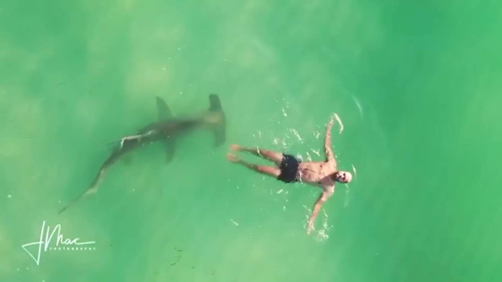 Insane drone video reveals huge hammerhead shark circling clueless swimmer in Florida