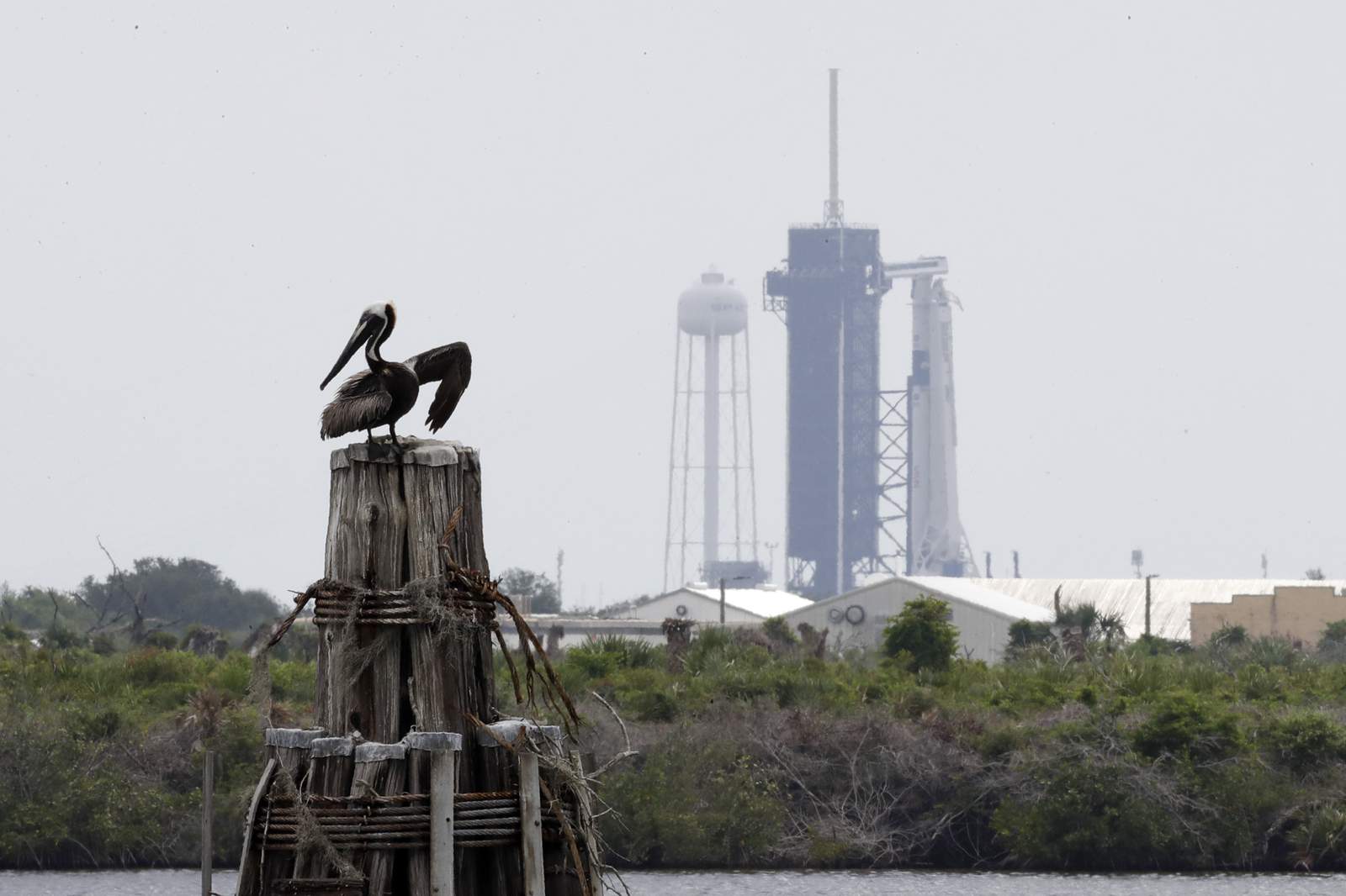 Where to watch SpaceX Crew Dragon launch on the Space Coast