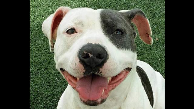 No description available