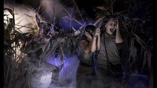 Universal hiring 2,000 new team members ahead of Halloween Horror Nights