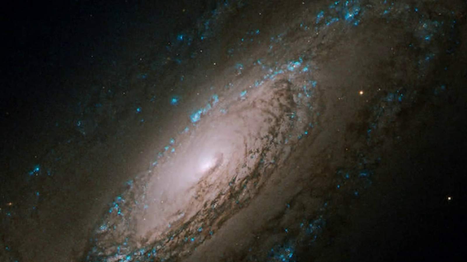 Hubble Space Telescope is a gift of science that keeps giving