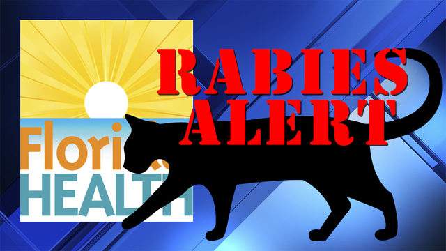 Rabies alert issued for neighborhoods surrounding Oviedo in Seminole County