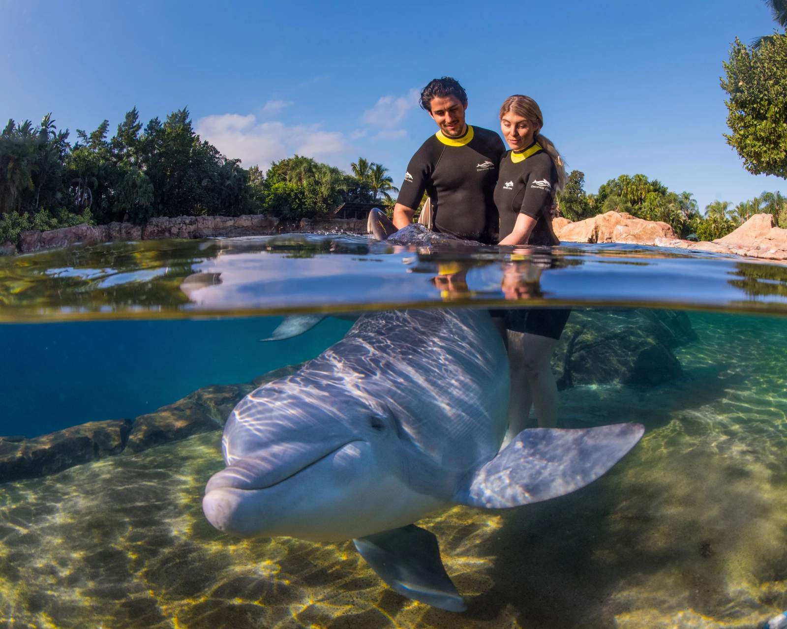 SeaWorlds Discovery Cove adds bonus offer for Florida residents