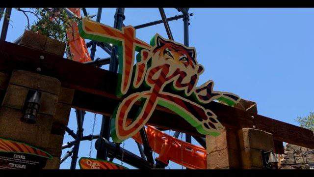 Busch Gardens Tigris Florida S Tallest Launch Coaster Earns Its