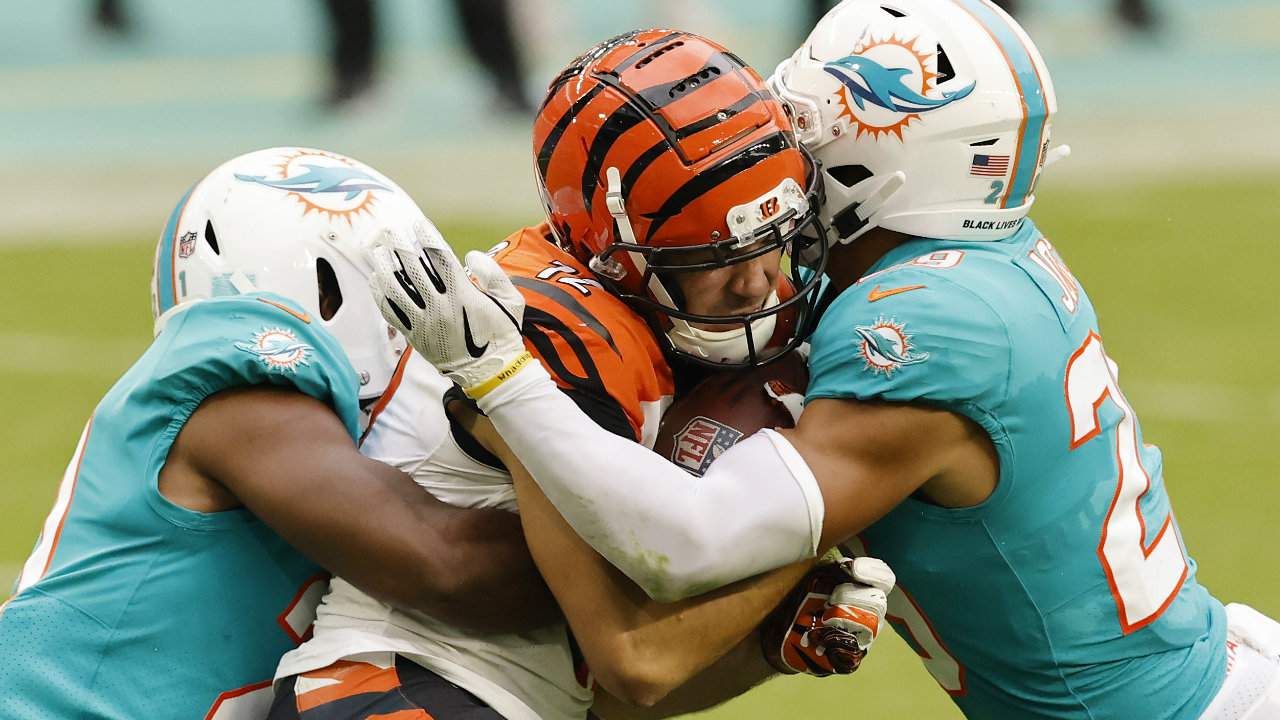 bengals against dolphins