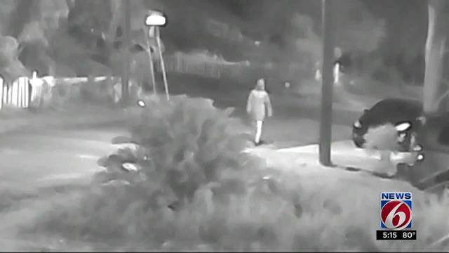 100 000 Reward Offered For Possible Tampa Area Serial Killer