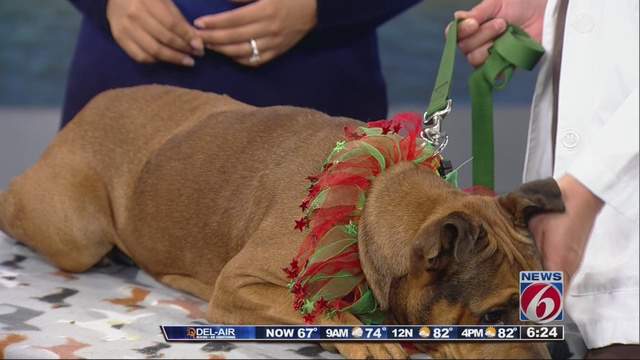 No description available