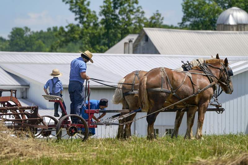 Amish put faith in God’s will and herd immunity over vaccine