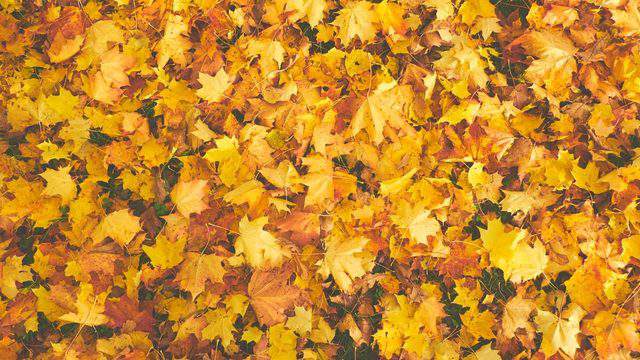 Fall forecast: What can Central Florida expect for autumn 2021?