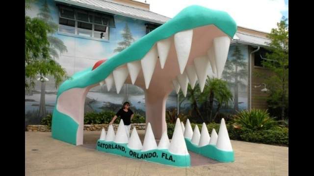 Gatorland announces reopening date alongside Universal, other attractions