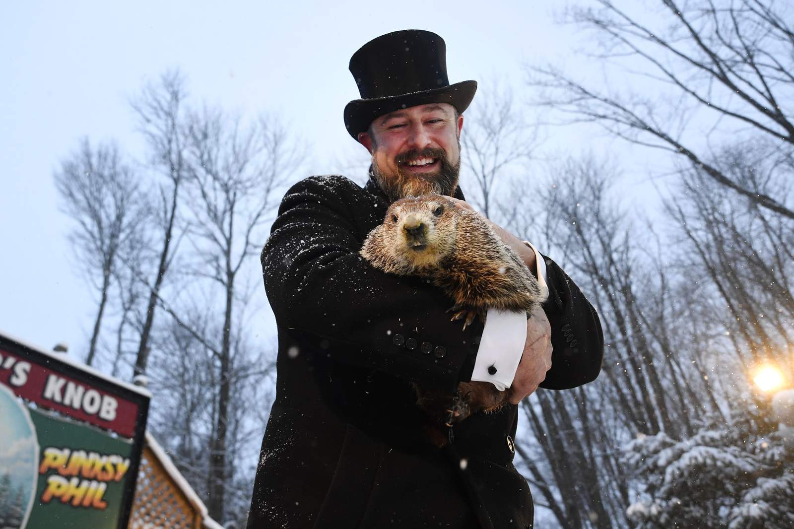 How accurate are Punxsutawney Phil’s forecasts?