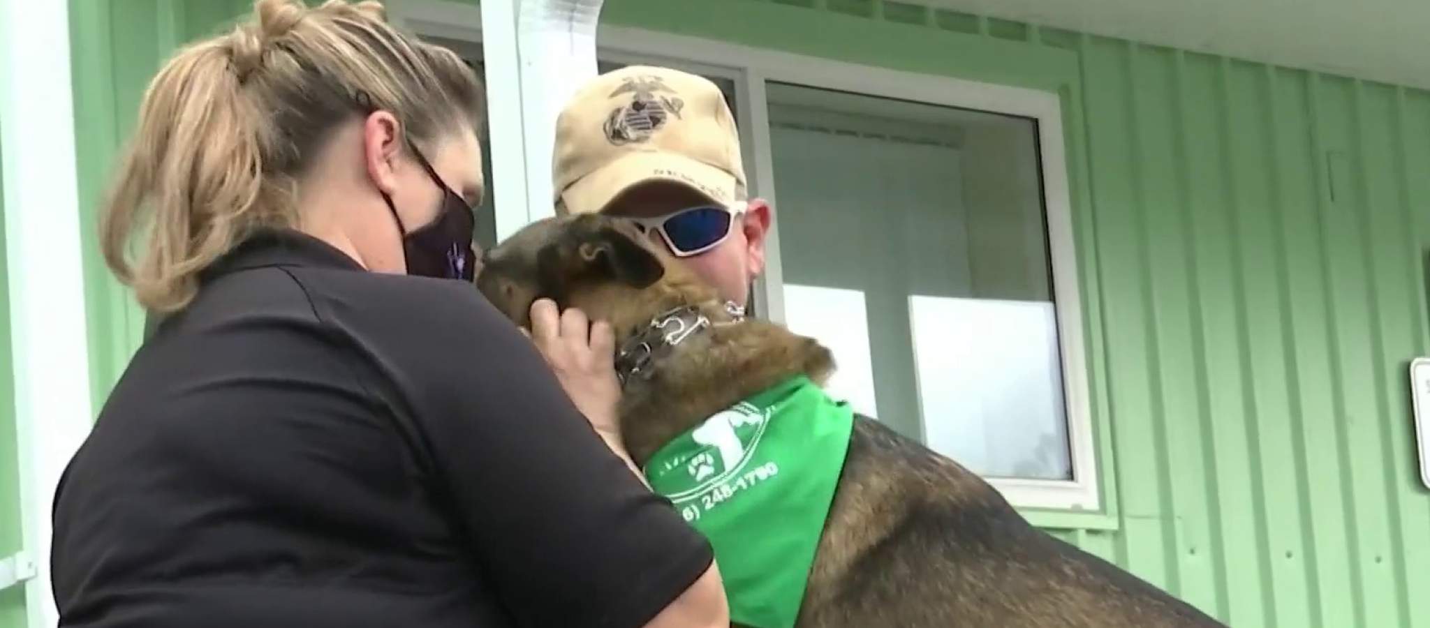 ‘Miracle’ dog thrown from Volusia balcony becoming service animal for veteran