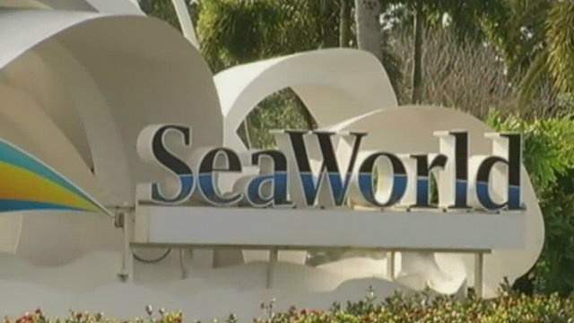 No description available