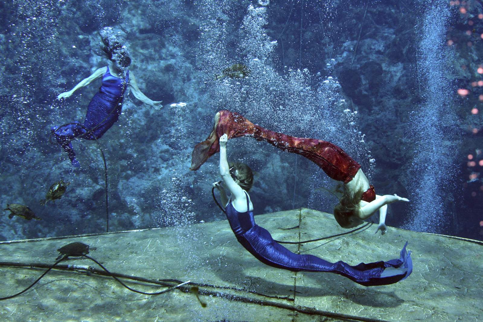 Florida city known for mermaids now sleeps with the fishes