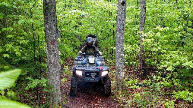 Ocala off-roading: Illegal routes damages environment