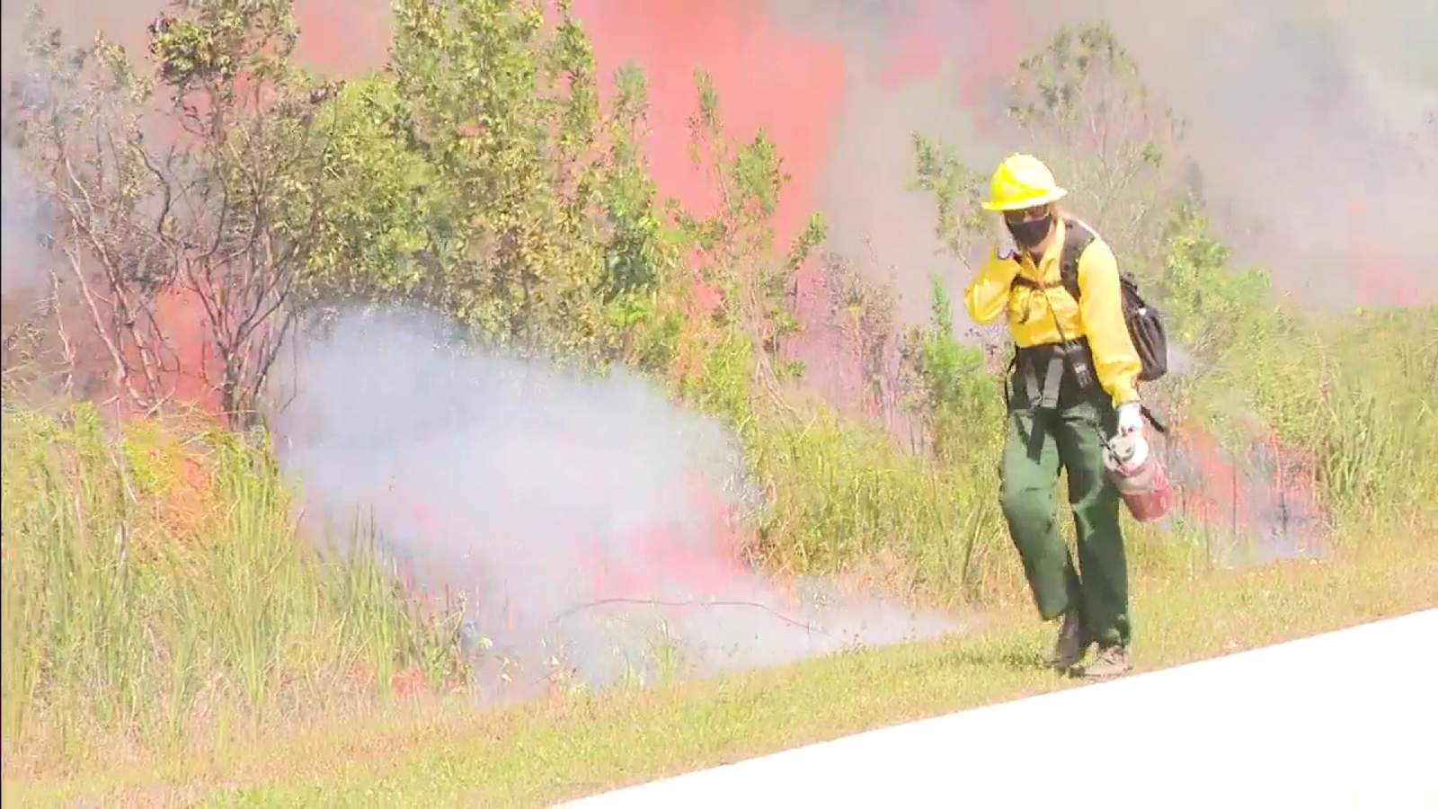 Wildfires have scorched 8,000 acres in Florida in 2021