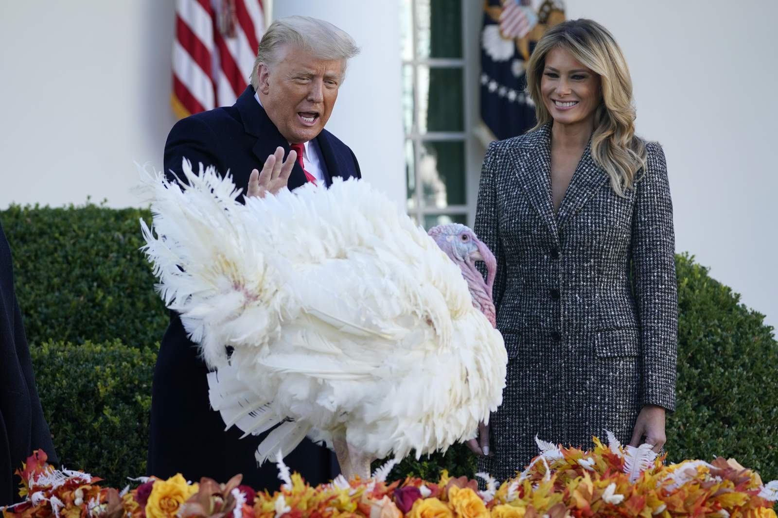 Trump skips turkey jokes, gives thanks for COVID-19 vaccines