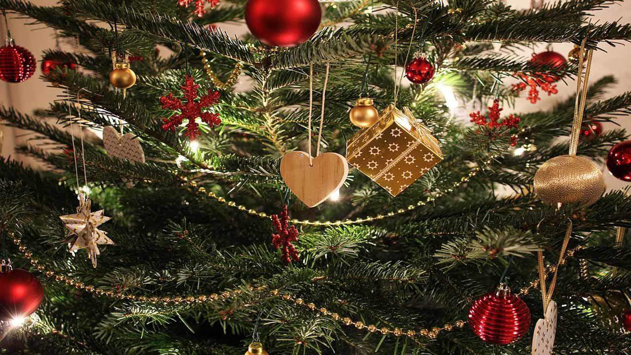 4 tips to ensure your Christmas tree lives through the holiday season