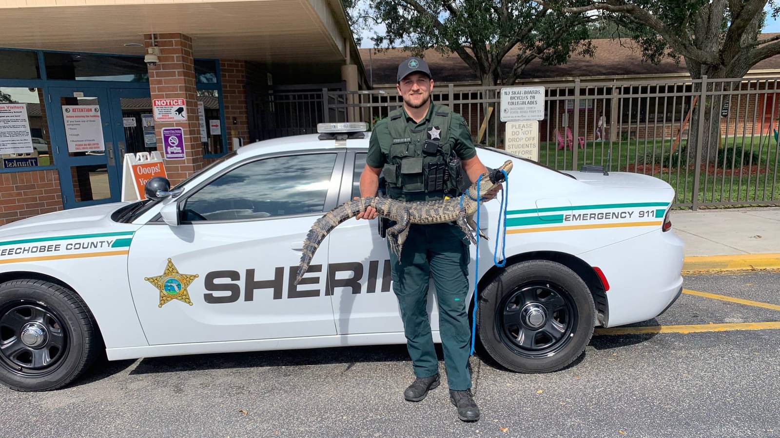 Alligator captured on Florida school playground