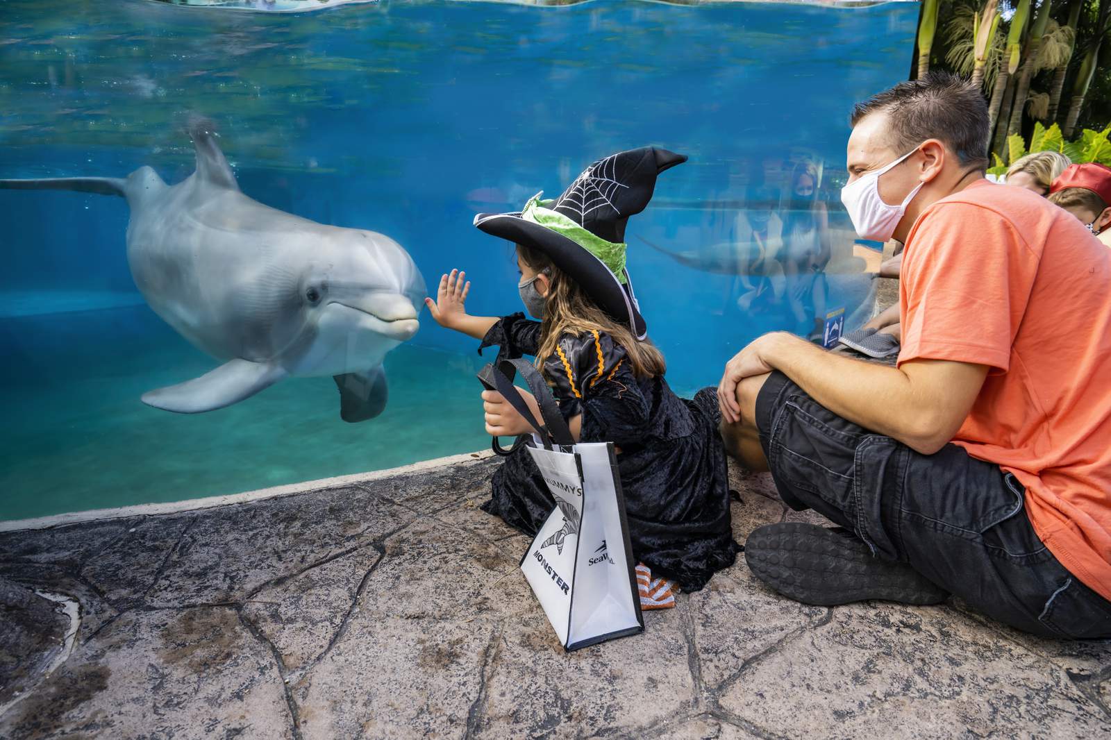 Maze and trick-or-treat trail arrives at SeaWorld Orlando’s Halloween spooktacular