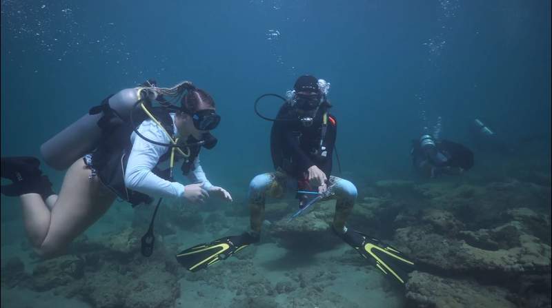Combat veterans fight coral extinction off Florida coast