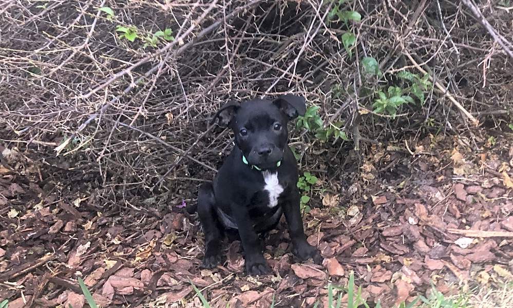 No description available