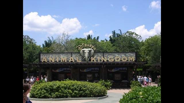 Local 6 obtains letter sent to Disney guests who became ill on 'Wild Africa Trek'