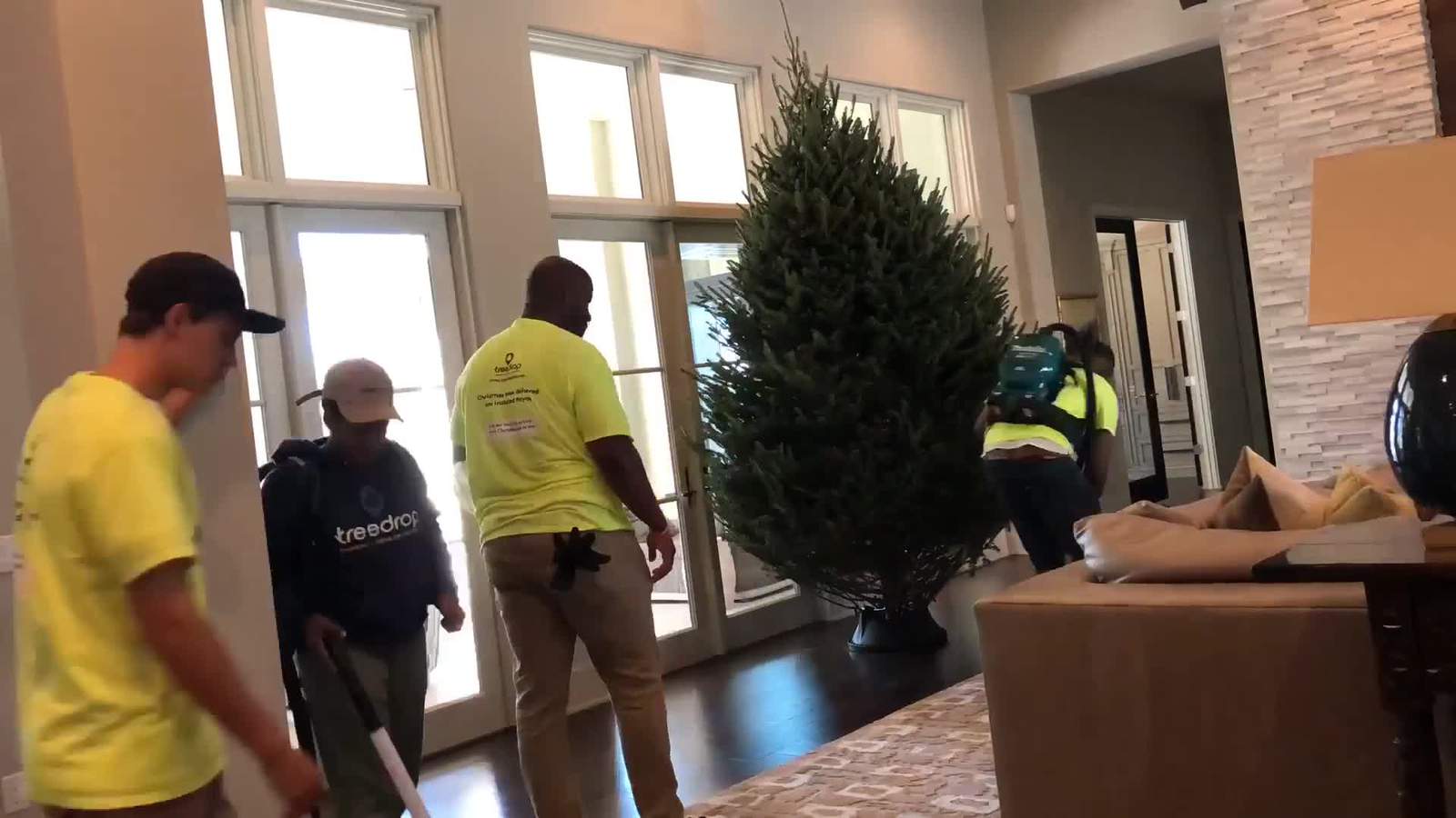 Central Florida couple takes the hassle out of Christmas tree shopping