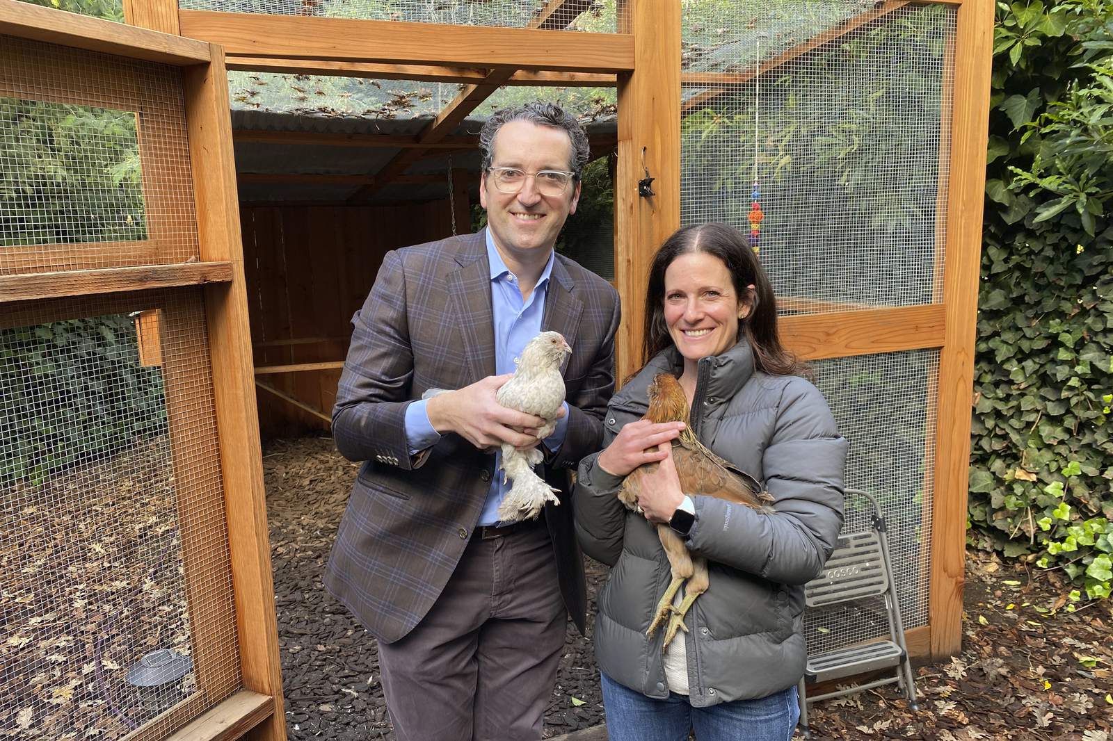 COVID cluckers: Pandemic feeds demand for backyard chickens