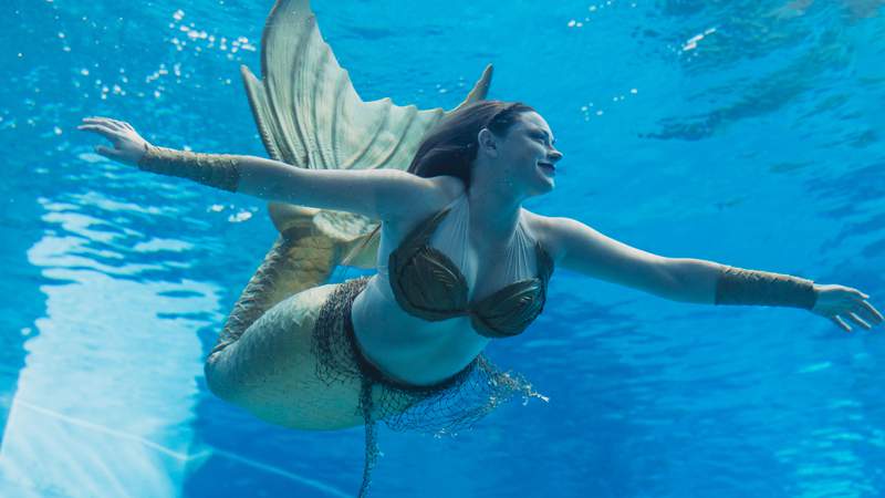 Mermaids swim into Clearwater Marine Aquarium